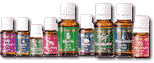 Young Living Essential Oil Singles