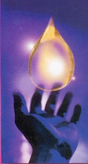 Arts Place Essential Oils - Your source for Young Living Essential Oil Products